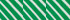 True Green Diagonal Stripe